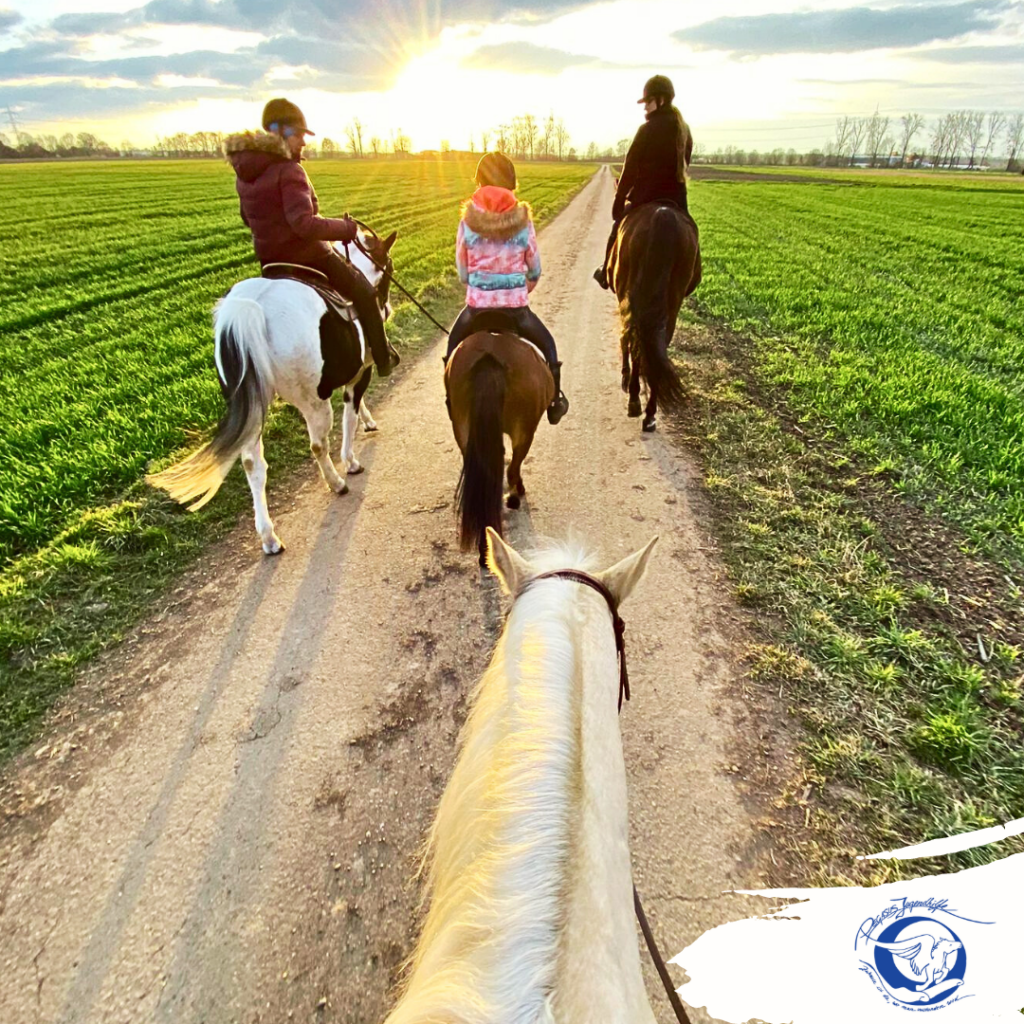 Reiten auf einem Feldweg